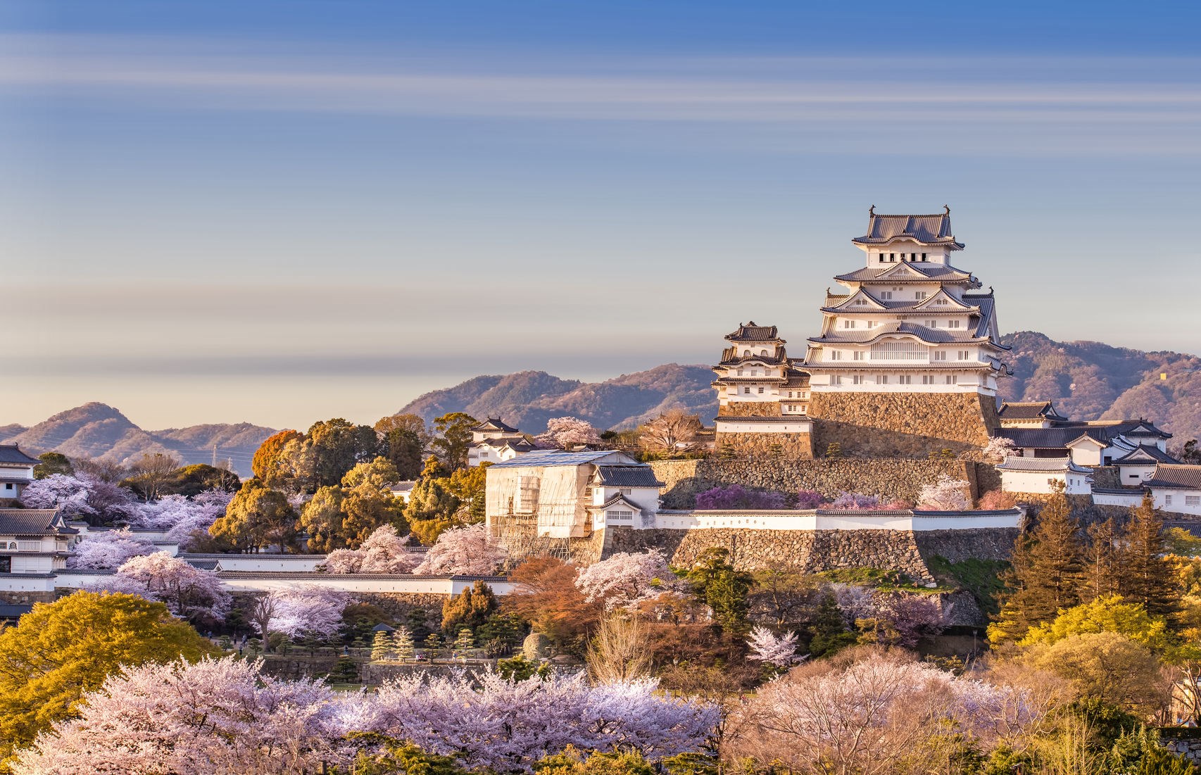 Japon Intemporel 