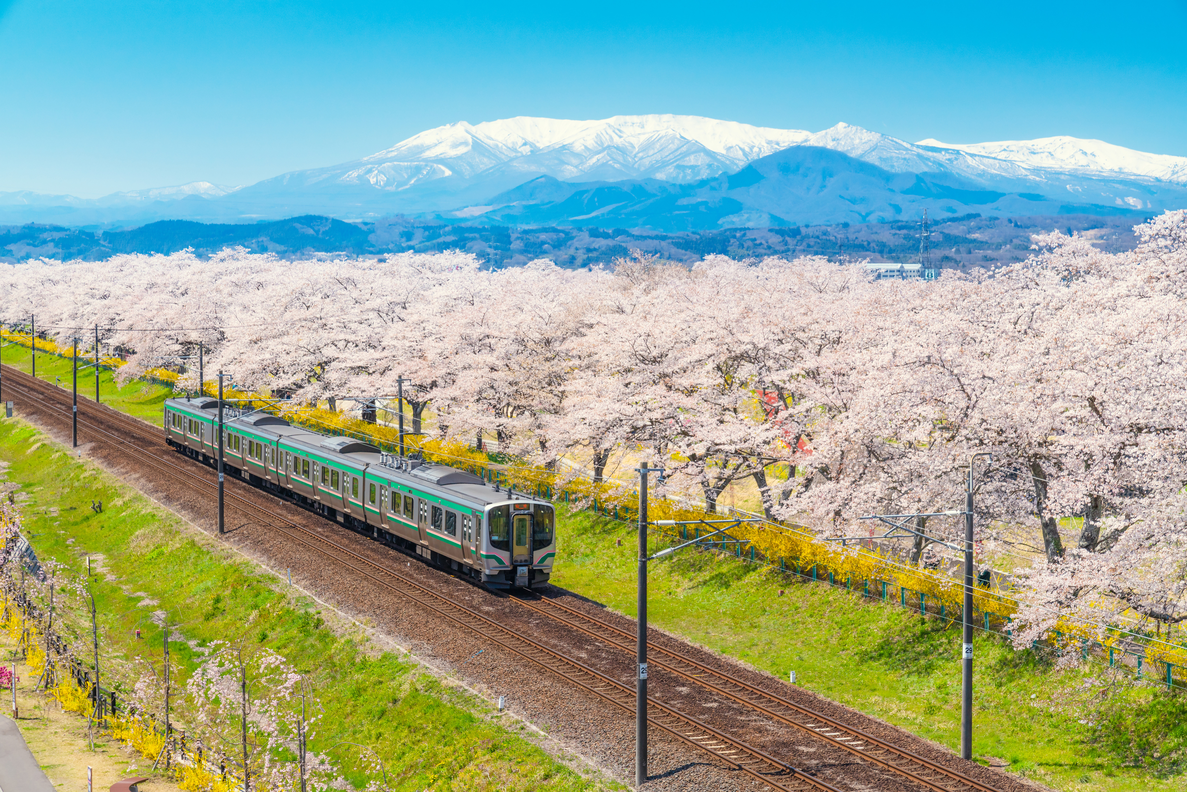 Grande boucle japonaise