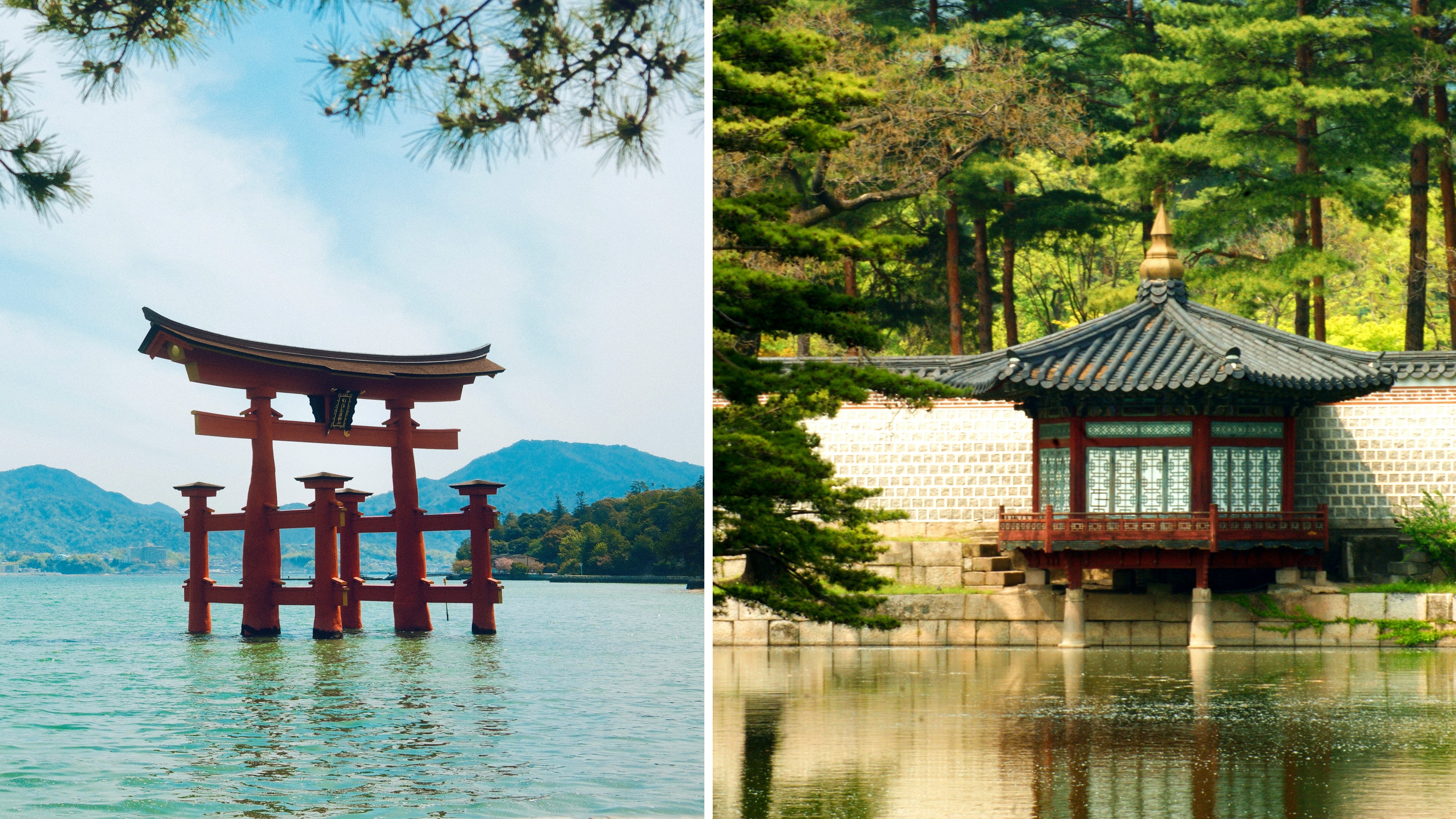 Japon et Corée du Sud