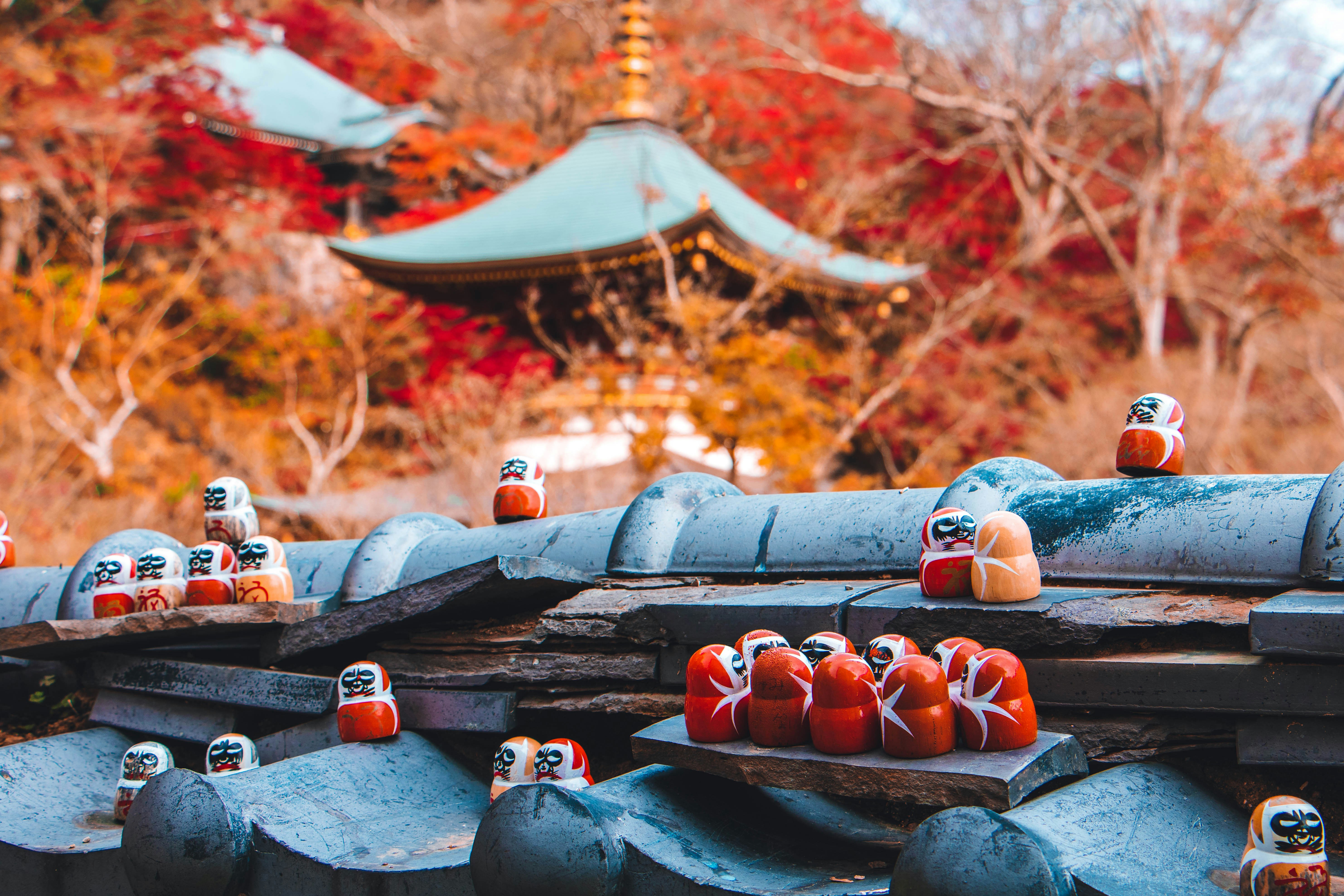 Plongée dans l'univers du Japon 