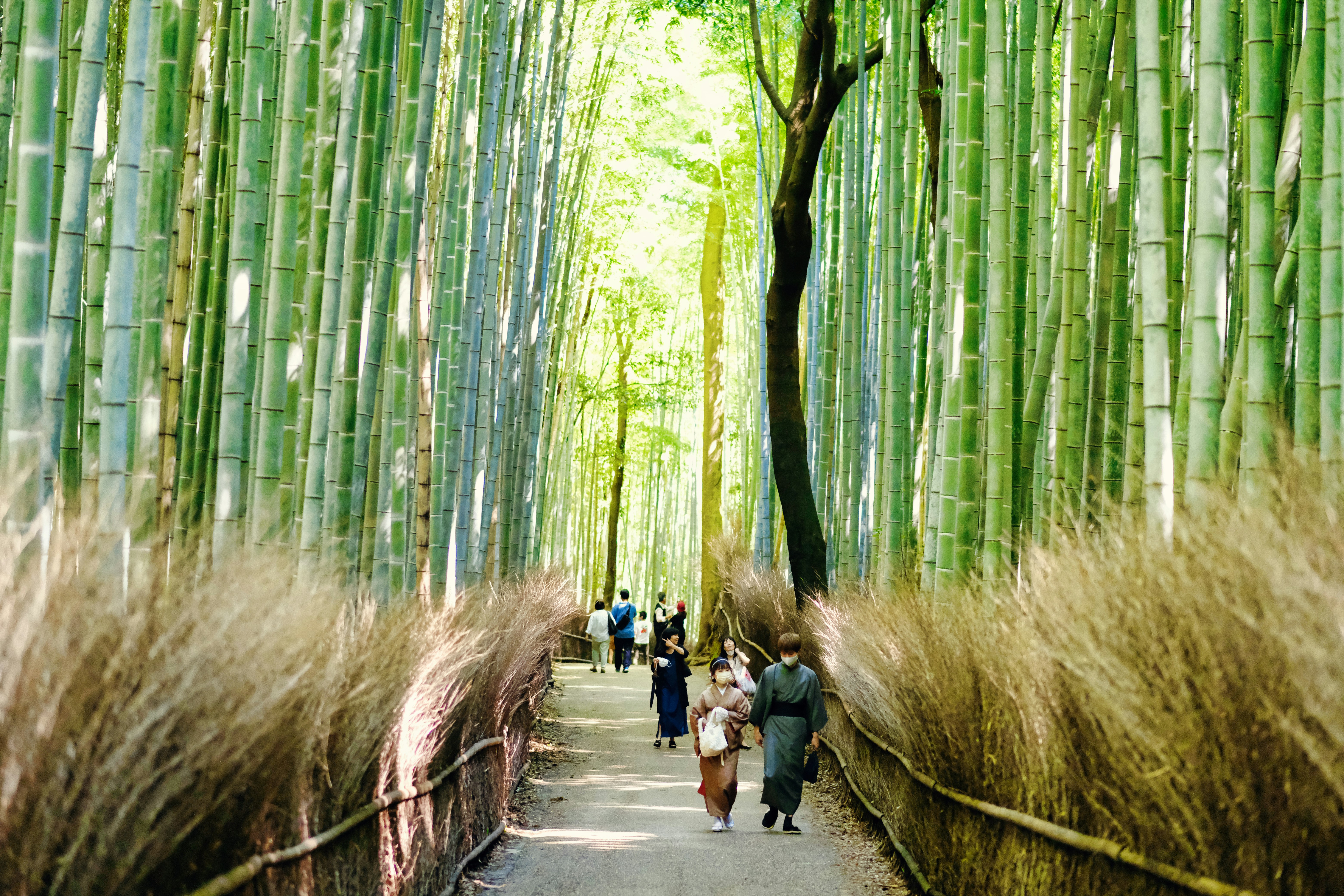 Evasion Asiatique