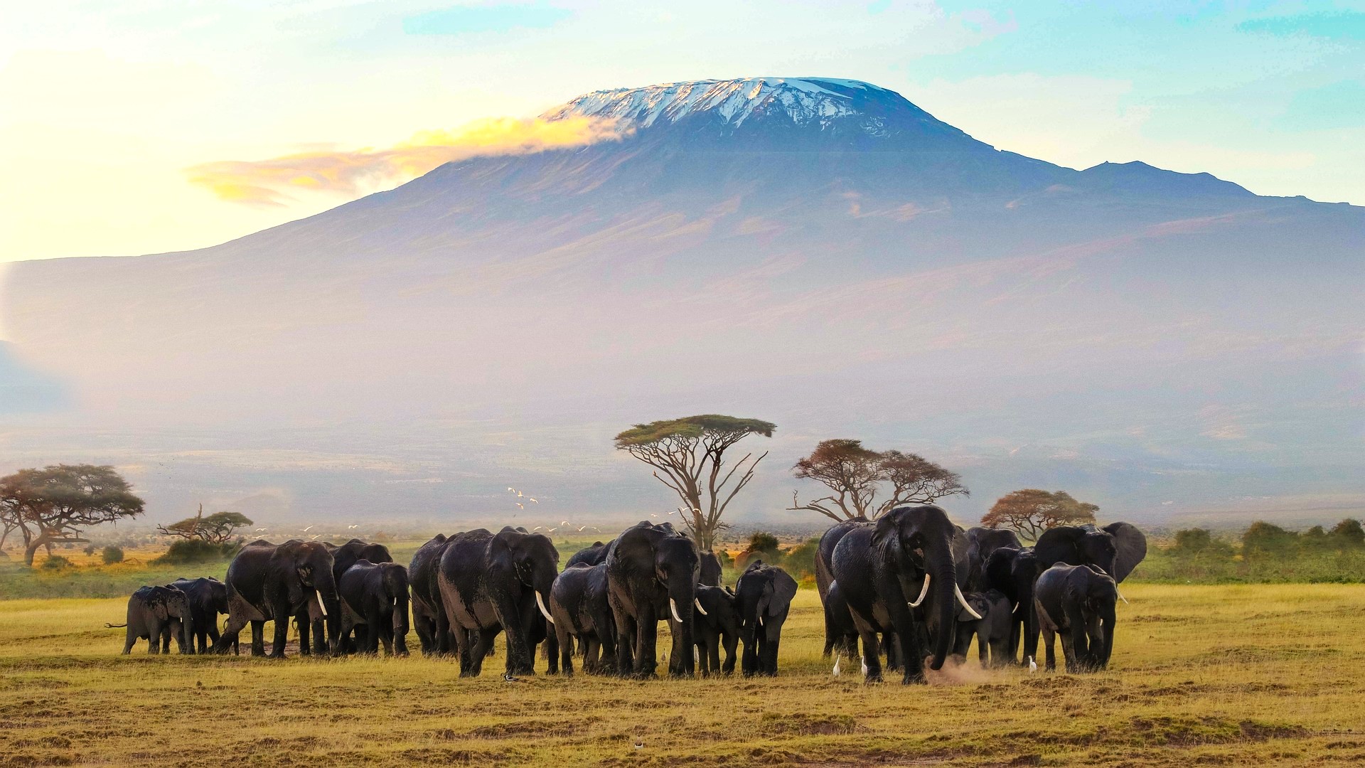 Kenya